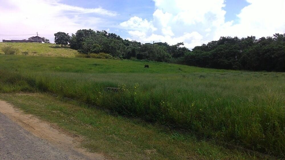Terreno à venda, 296m² - Foto 1