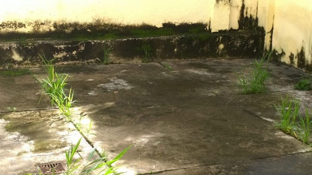 Casa, 3 quartos, 156 m² - Foto 3