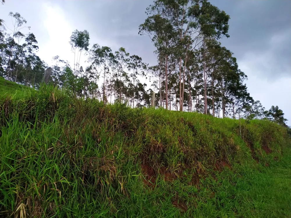 Terreno, 3 hectares - Foto 4