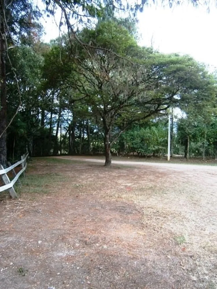 Terreno, 6 hectares - Foto 3