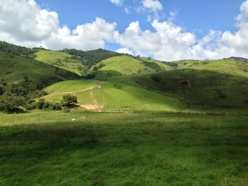 Fazenda, 484 hectares - Foto 4