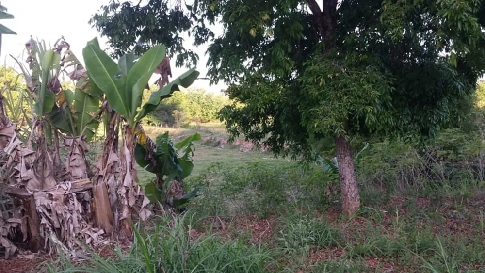 Terreno - Foto 2