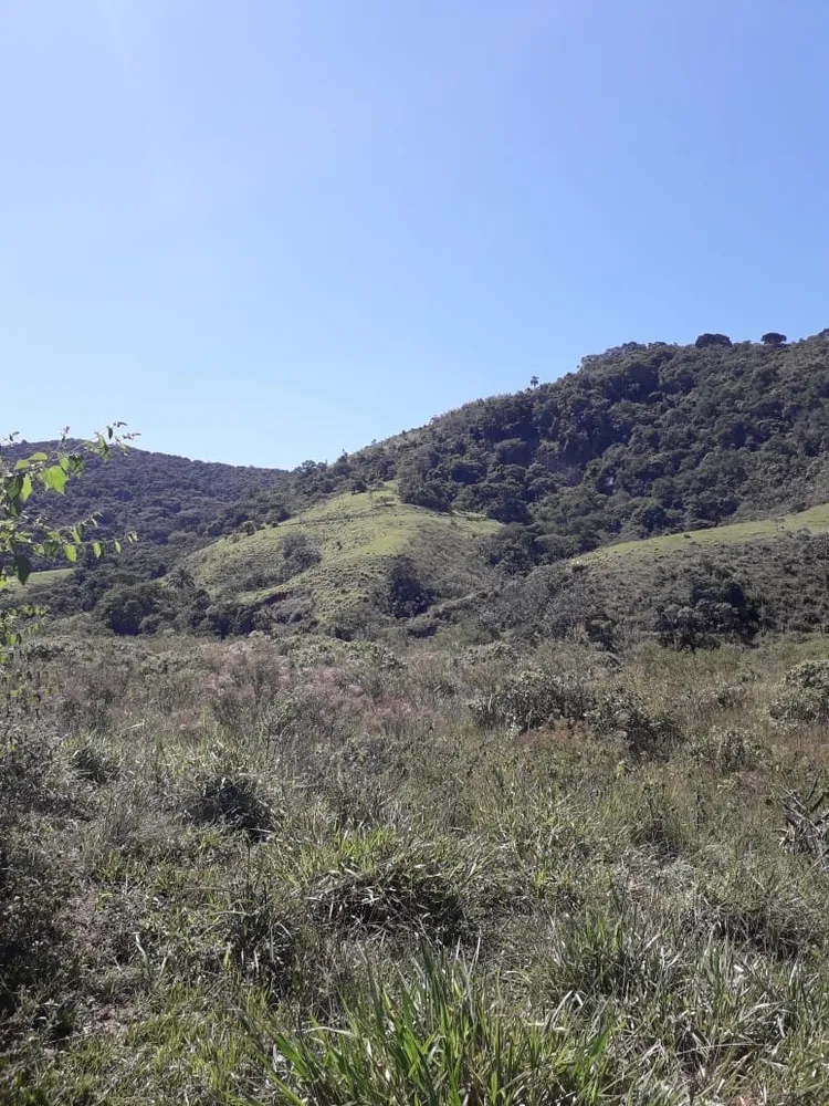 Terreno, 84 hectares - Foto 2