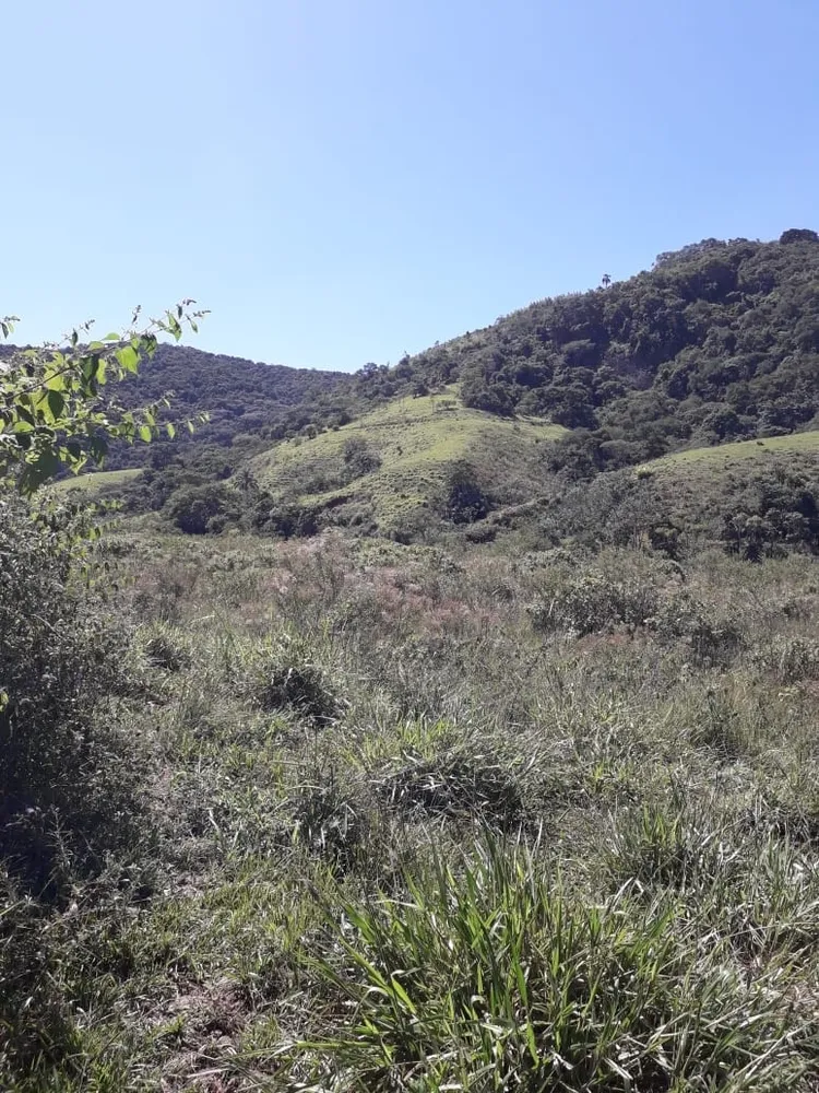 Terreno, 84 hectares - Foto 3