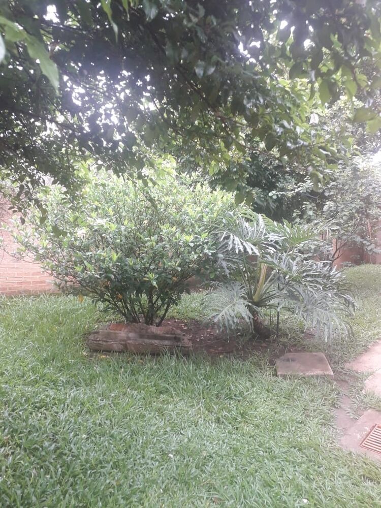 Casa à venda com 3 quartos, 400m² - Foto 13