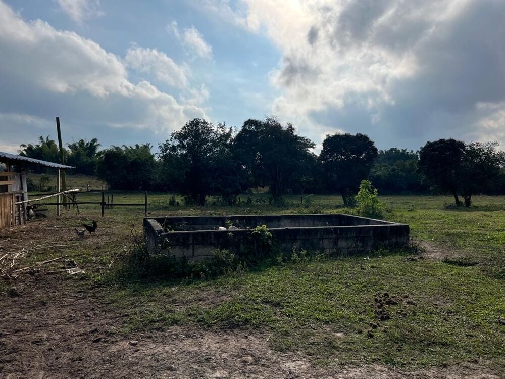 Terreno, 9 hectares - Foto 19