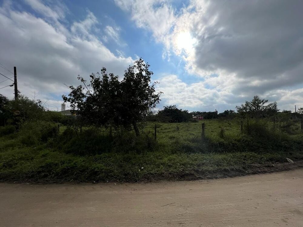 Terreno, 9 hectares - Foto 36