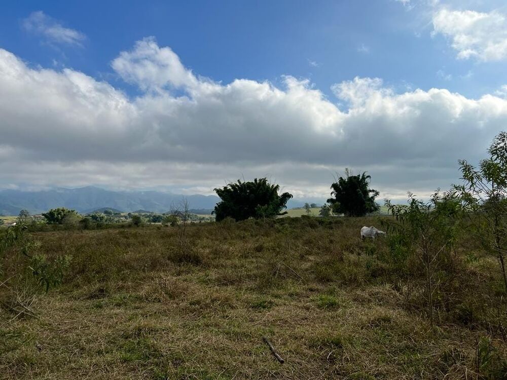 Terreno, 9 hectares - Foto 29