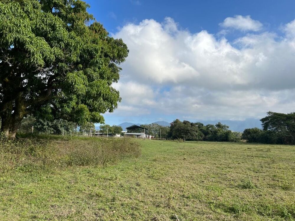 Terreno, 9 hectares - Foto 26