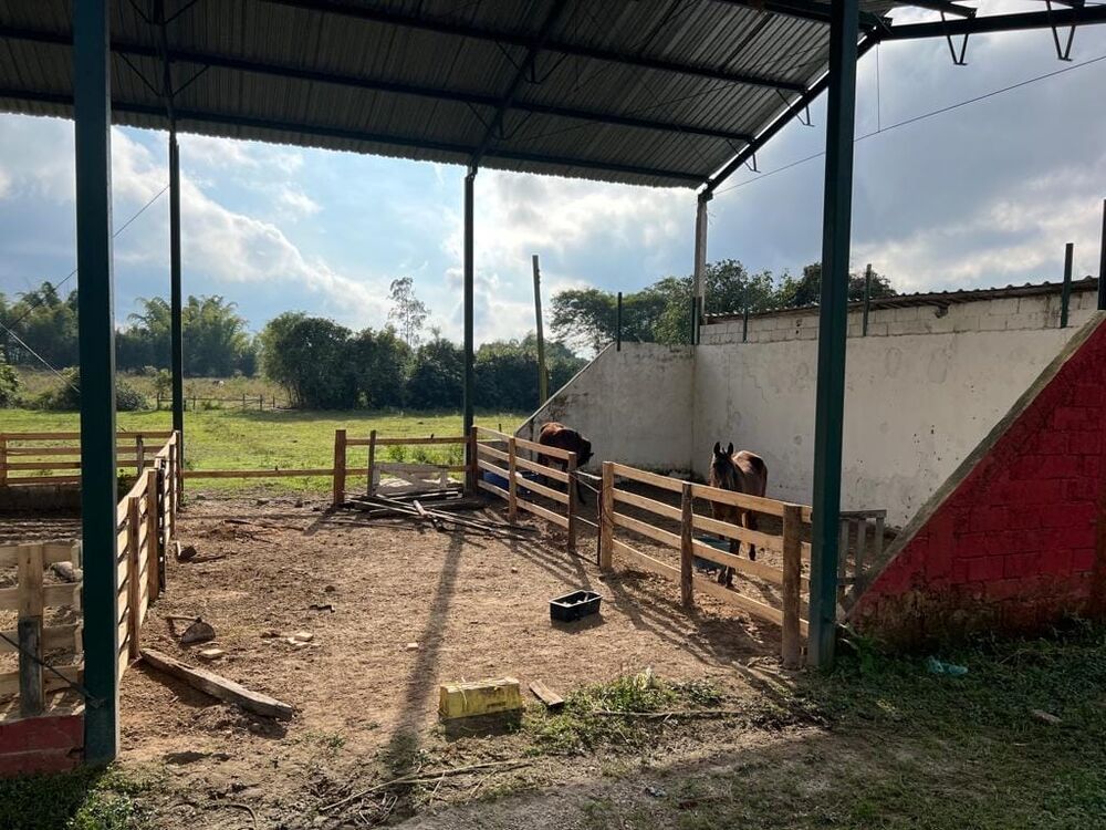 Terreno, 9 hectares - Foto 17