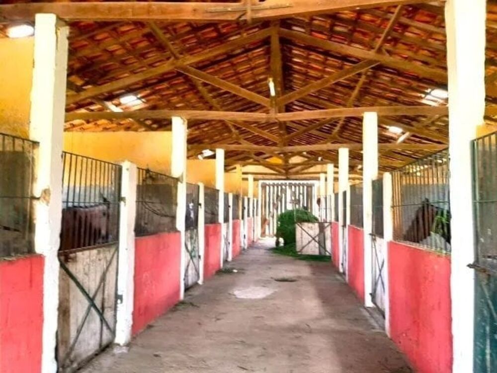 Terreno, 9 hectares - Foto 3