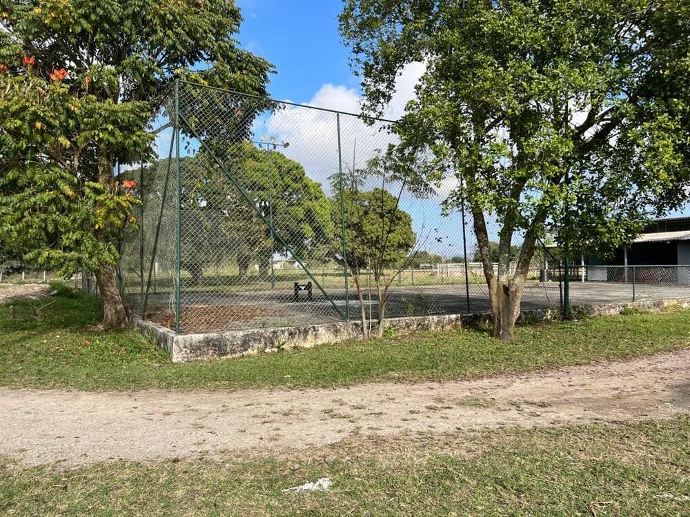 Terreno, 9 hectares - Foto 18