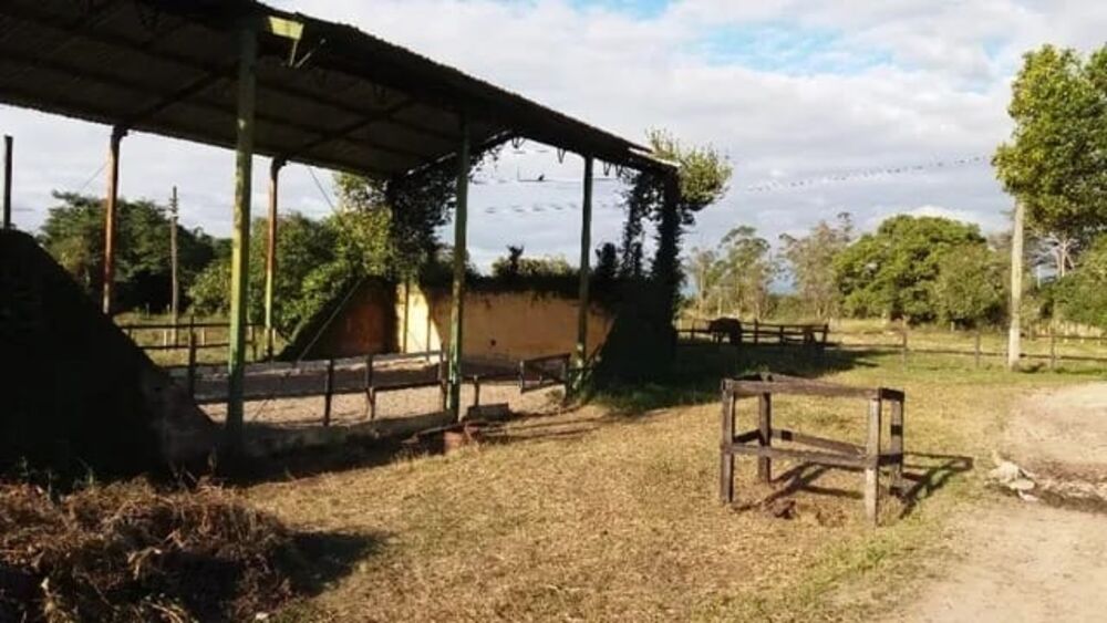 Terreno, 9 hectares - Foto 7