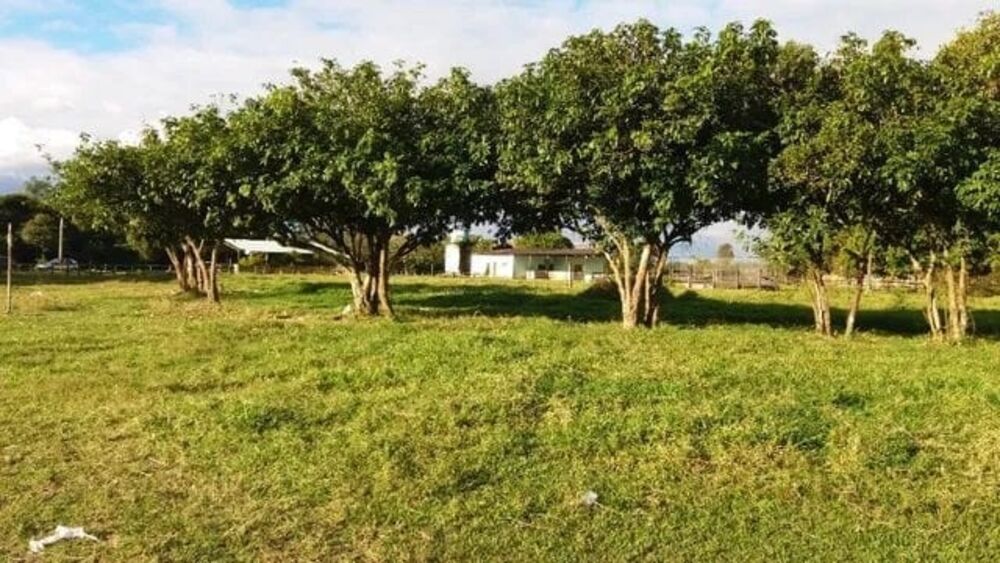 Terreno, 9 hectares - Foto 30