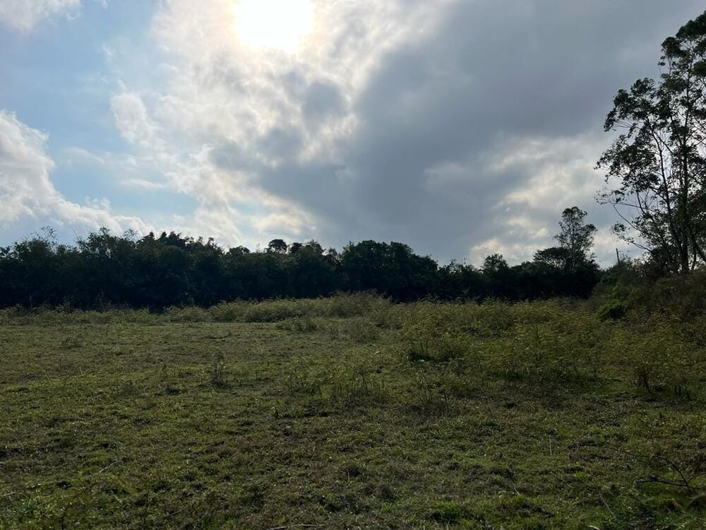 Terreno, 9 hectares - Foto 24