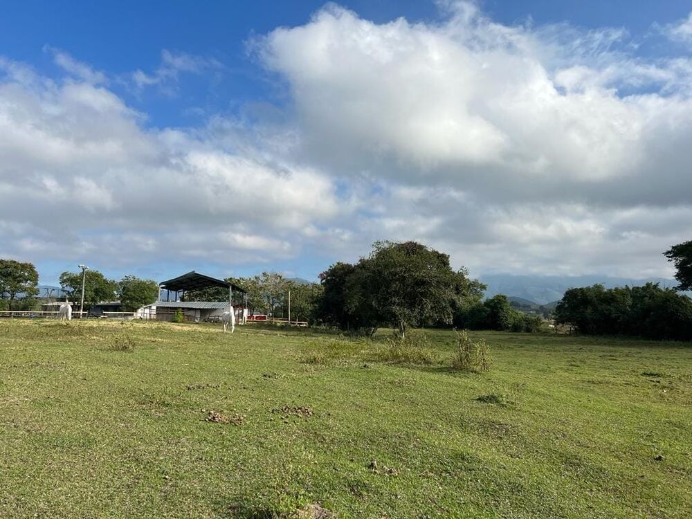 Terreno, 9 hectares - Foto 22