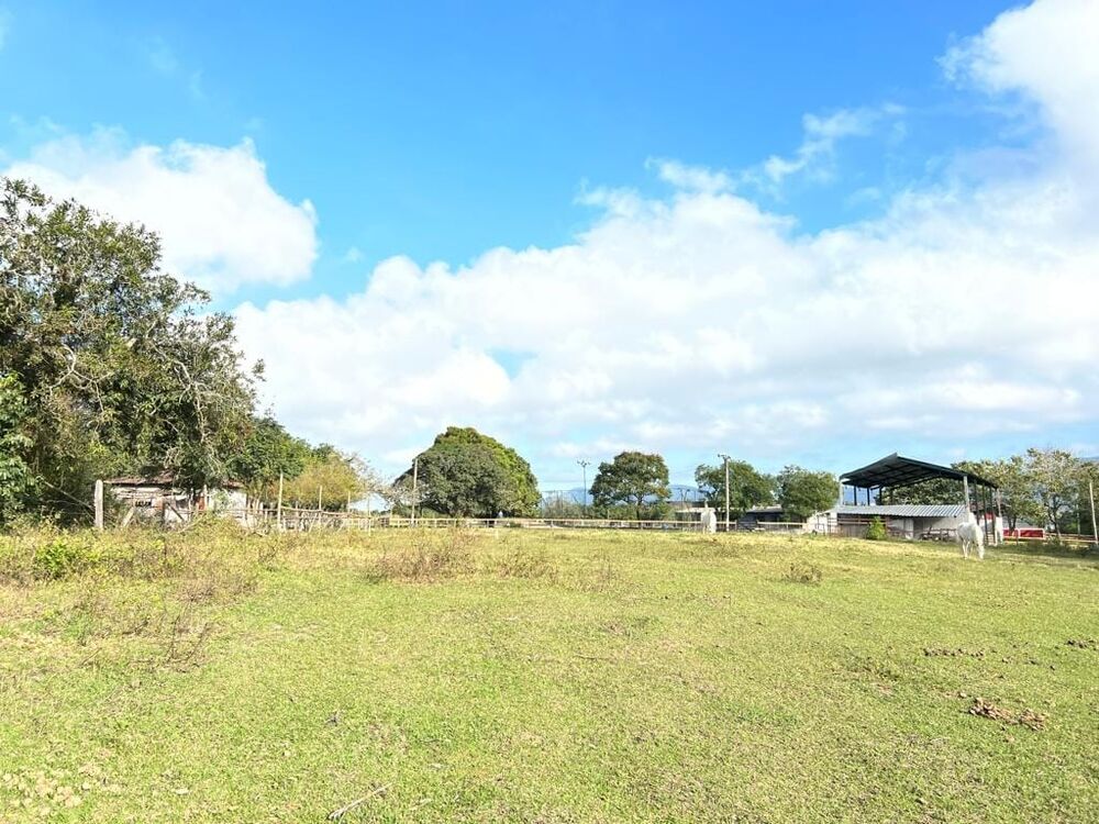 Terreno, 9 hectares - Foto 23