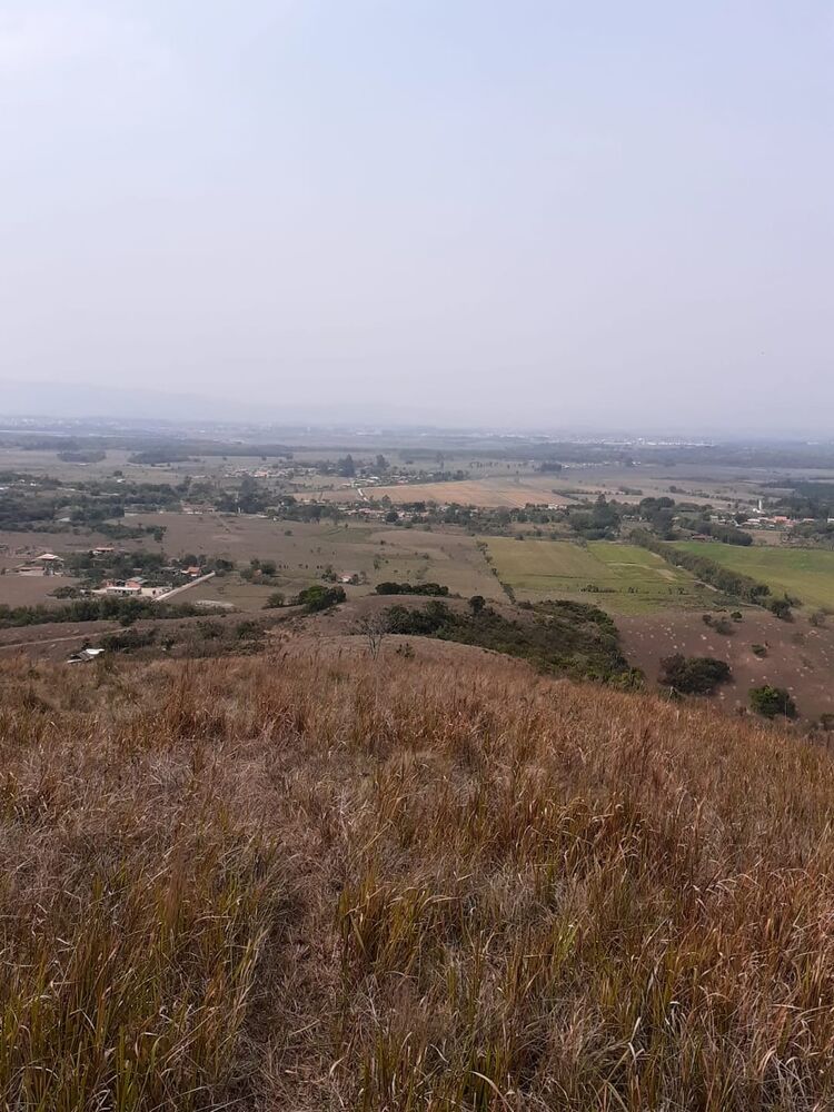 Terreno, 2 hectares - Foto 2