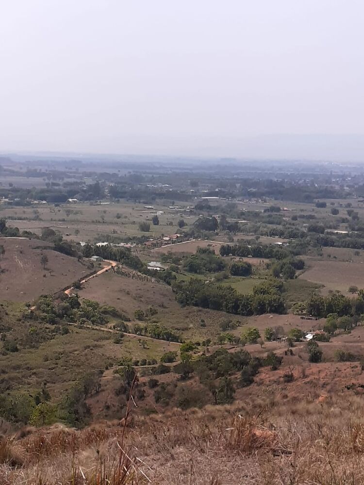 Terreno, 2 hectares - Foto 3