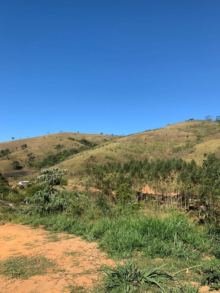 Terreno à venda - Foto 1