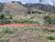 Terreno - Foto 2