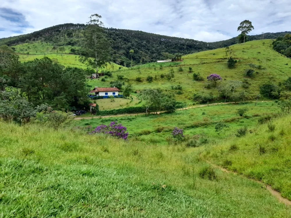 Terreno, 10000 m² - Foto 3