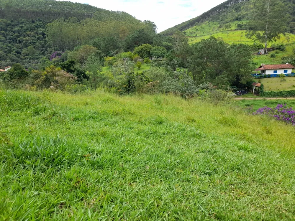 Terreno, 10000 m² - Foto 4