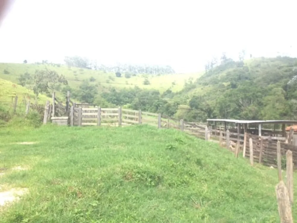 Fazenda, 487 hectares - Foto 3