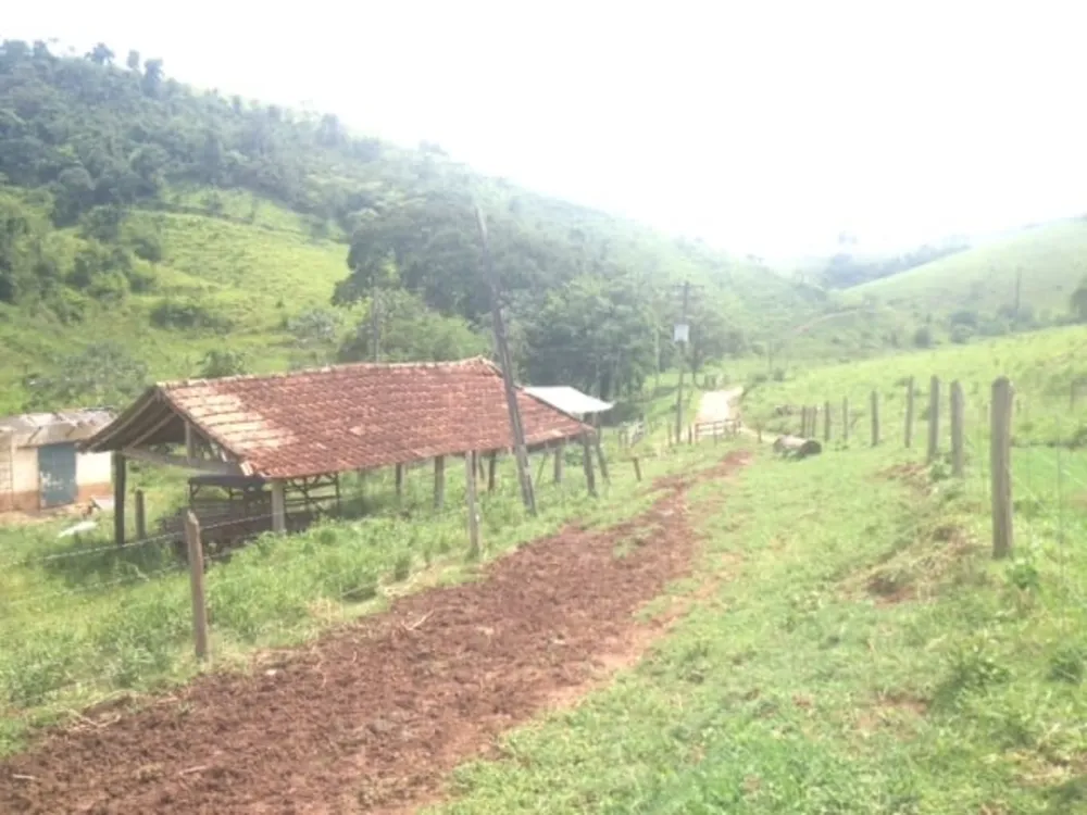 Fazenda, 487 hectares - Foto 1
