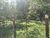 Chácara, 3 quartos, 2 hectares - Foto 6