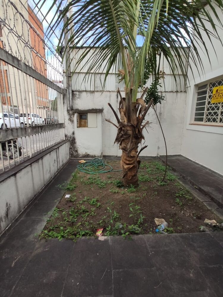 Casa, 2 quartos, 180 m² - Foto 2