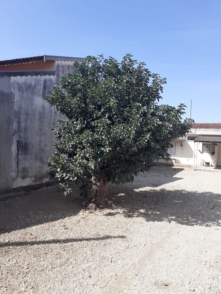 Casa à venda com 1 quarto, 50m² - Foto 2