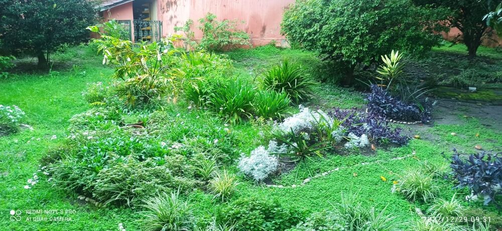 Casa, 4 quartos, 303 m² - Foto 11
