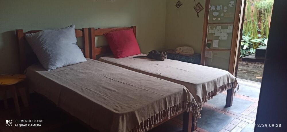 Casa, 4 quartos, 303 m² - Foto 29