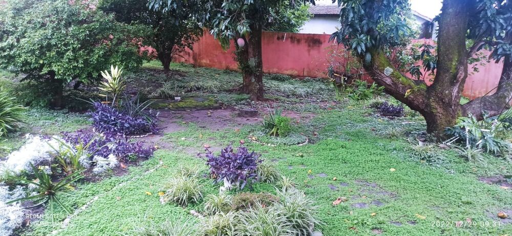 Casa, 4 quartos, 303 m² - Foto 22
