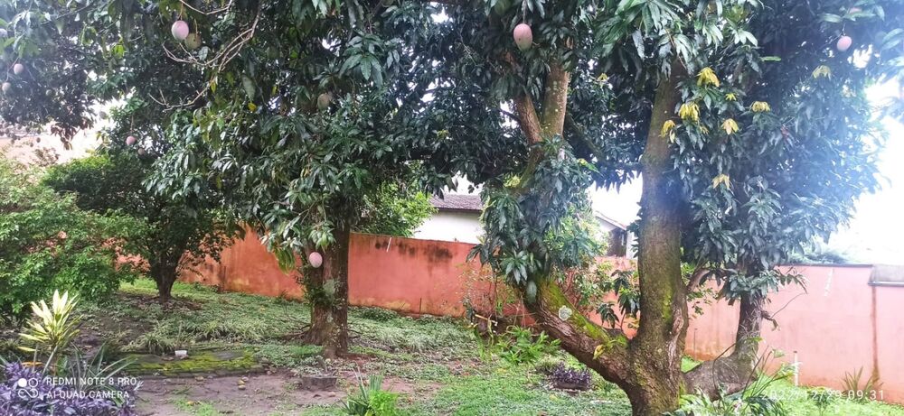 Casa, 4 quartos, 303 m² - Foto 18