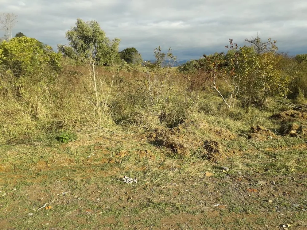 Terreno, 1000 m² - Foto 1