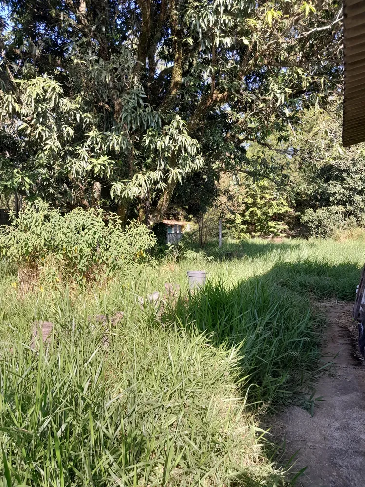 Chácara, 3 quartos, 2400 m² - Foto 4