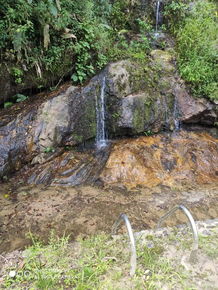 Terreno, 4 hectares - Foto 4