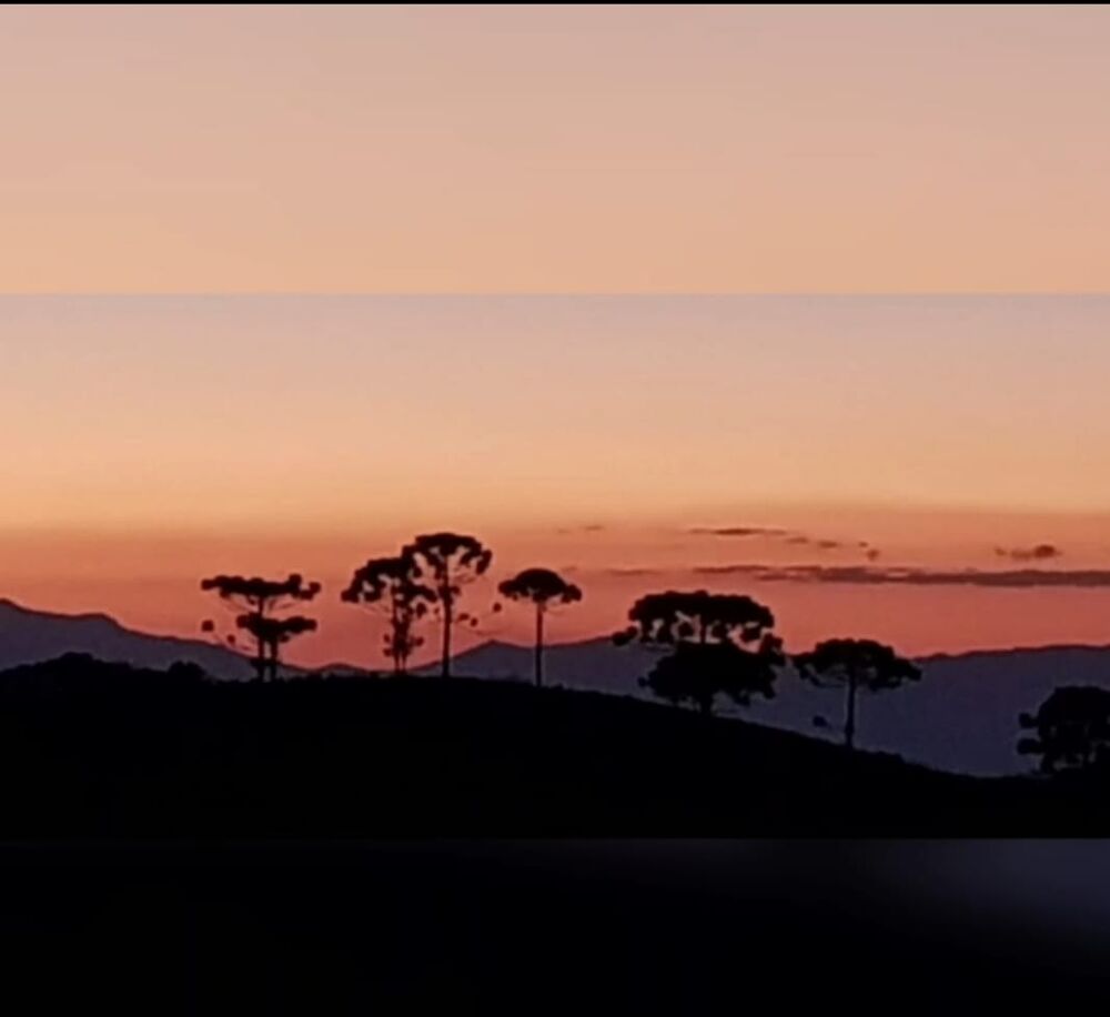 Sítio, 2 quartos, 24 hectares - Foto 2