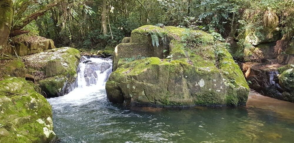 Sítio, 2 quartos, 24 hectares - Foto 45