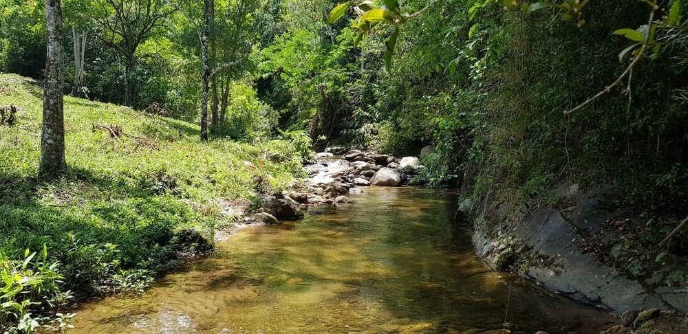 Sítio, 2 quartos, 24 hectares - Foto 44