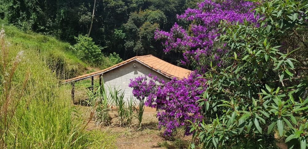 Sítio, 2 quartos, 24 hectares - Foto 28