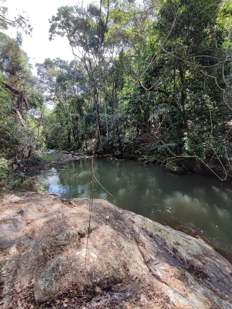 Sítio, 2 quartos, 24 hectares - Foto 46