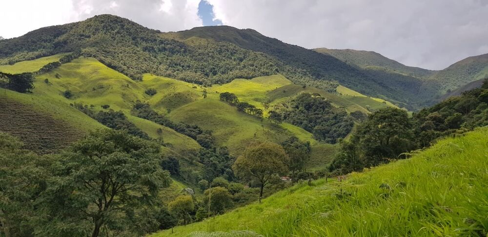 Sítio, 2 quartos, 24 hectares - Foto 24