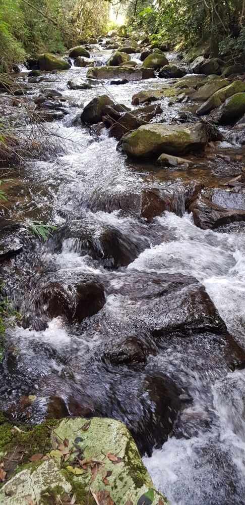 Sítio, 2 quartos, 24 hectares - Foto 48