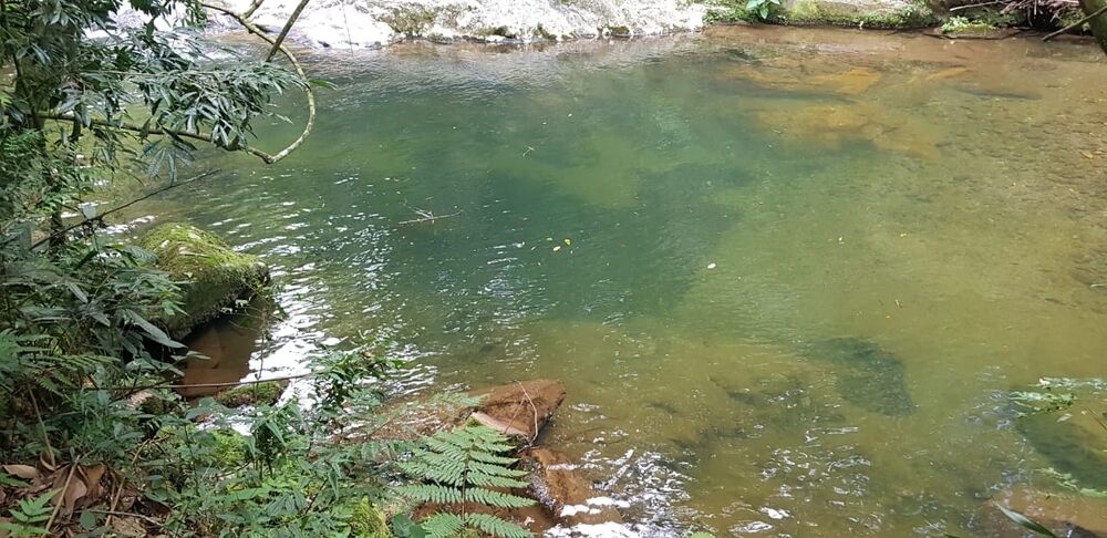 Sítio, 2 quartos, 24 hectares - Foto 47