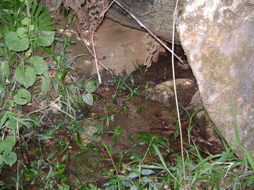 Sítio, 2 quartos, 24 hectares - Foto 50