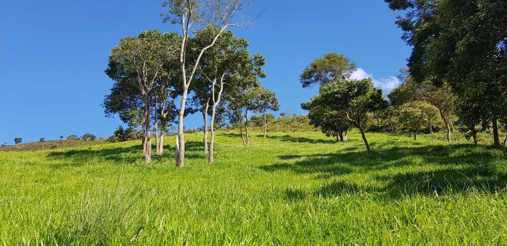 Sítio, 2 quartos, 24 hectares - Foto 23