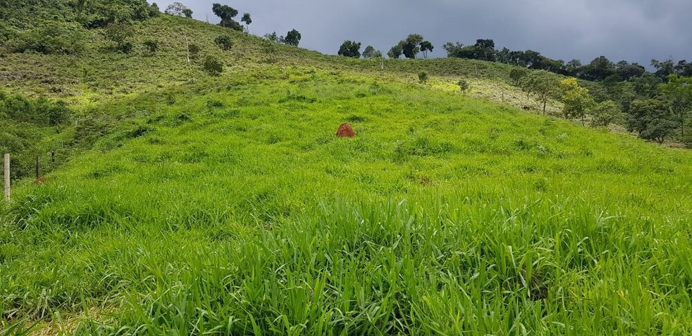 Sítio, 2 quartos, 24 hectares - Foto 27